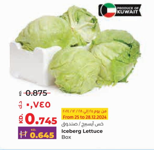 Lettuce from Kuwait available at Lulu Hypermarket  in Kuwait - Kuwait City