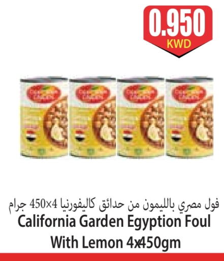 CALIFORNIA GARDEN available at 4 SaveMart in Kuwait - Kuwait City