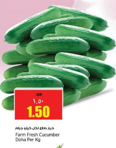 Cucumber from Qatar available at ريتيل مارت in قطر - الخور