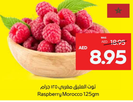 توت from Morocco available at  جمعية أبوظبي التعاونية in الإمارات العربية المتحدة , الامارات - أبو ظبي