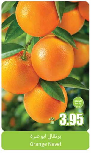 Orange available at أسواق عبد الله العثيم in مملكة العربية السعودية, السعودية, سعودية - نجران