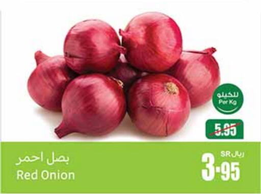 Onion available at أسواق عبد الله العثيم in مملكة العربية السعودية, السعودية, سعودية - الدوادمي