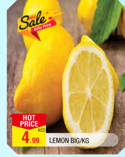 Lemon available at المدينة in الإمارات العربية المتحدة , الامارات - الشارقة / عجمان