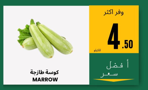 Marrow available at Al Basma Al Khalida Markets in KSA, Saudi Arabia, Saudi - Khamis Mushait