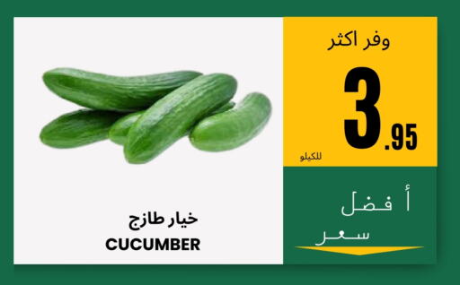 Cucumber available at Al Basma Al Khalida Markets in KSA, Saudi Arabia, Saudi - Khamis Mushait