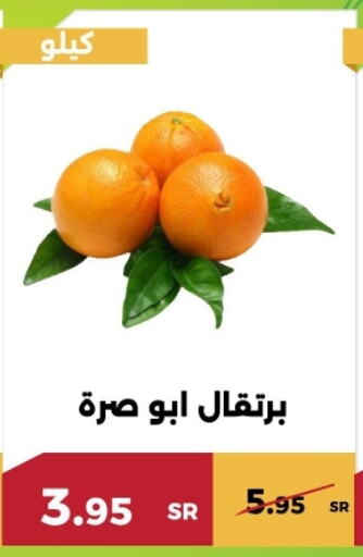 Orange available at Forat Garden in KSA, Saudi Arabia, Saudi - Mecca