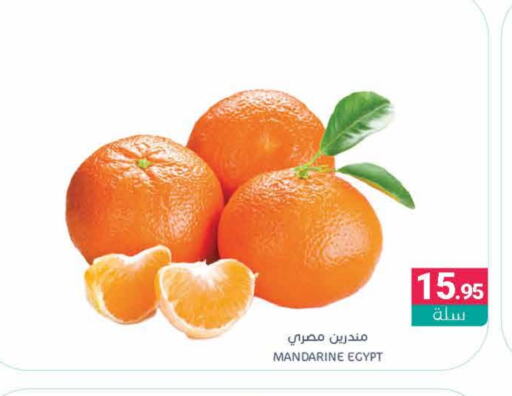 from Egypt available at اسواق المنتزه in مملكة العربية السعودية, السعودية, سعودية - سيهات