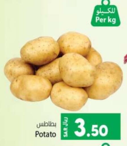 Potato available at Kabayan Hypermarket in KSA, Saudi Arabia, Saudi - Jeddah