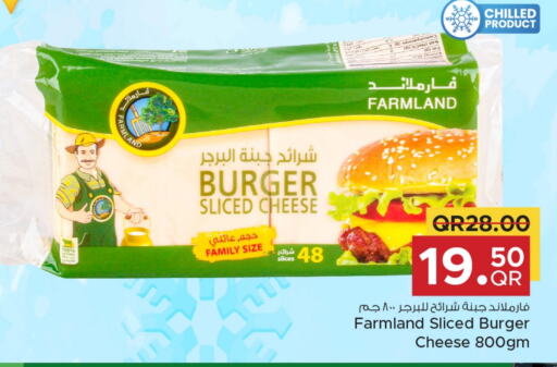 Slice Cheese available at Family Food Centre in Qatar - Al Daayen