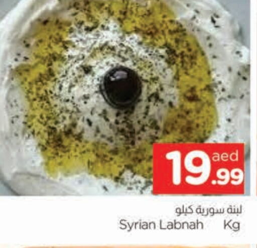 لبنة available at المدينة in الإمارات العربية المتحدة , الامارات - الشارقة / عجمان