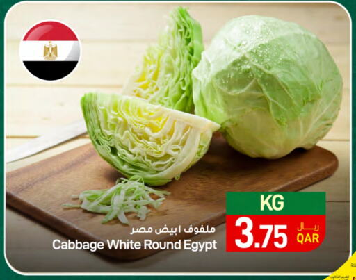 Cabbage from Egypt available at ســبــار in قطر - الضعاين