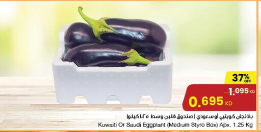 Eggplant from Kuwait Saudi Arabia available at مركز سلطان in الكويت - مدينة الكويت