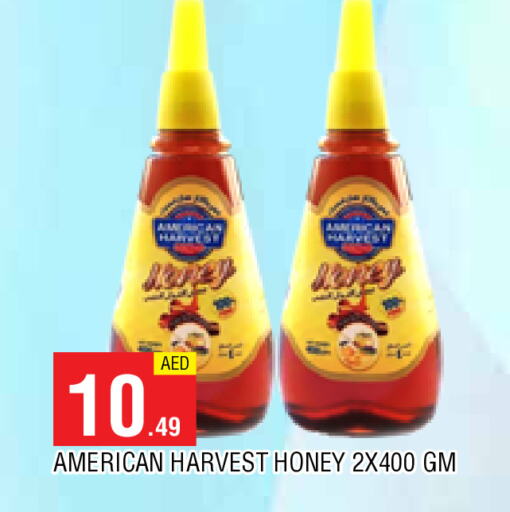 AMERICAN HARVEST Honey available at AL MADINA in UAE - Sharjah / Ajman