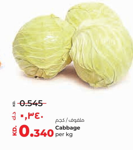 Cabbage available at لولو هايبر ماركت in الكويت - محافظة الأحمدي