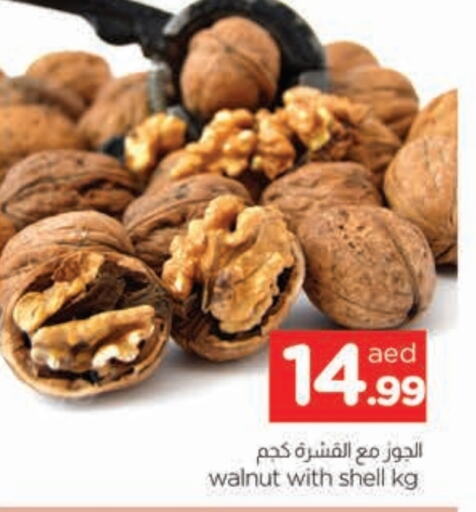 available at المدينة in الإمارات العربية المتحدة , الامارات - الشارقة / عجمان