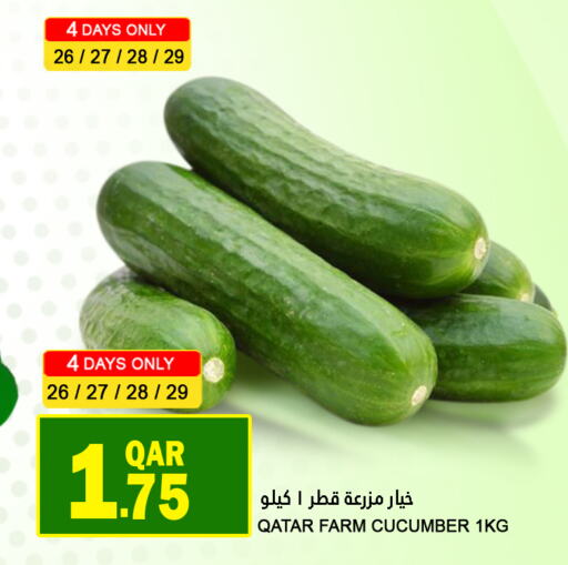 Cucumber from Qatar available at Food Palace Hypermarket in Qatar - Al Khor