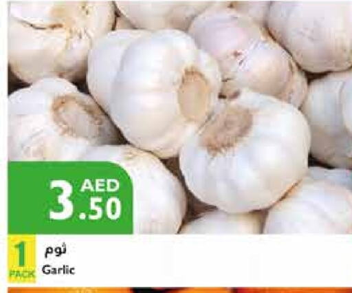 Garlic available at Istanbul Supermarket in UAE - Dubai