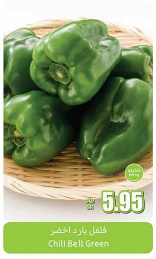 Chilli / Capsicum available at Othaim Markets in KSA, Saudi Arabia, Saudi - Al Qunfudhah