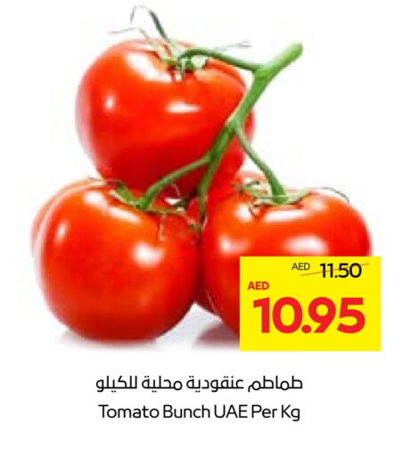 طماطم available at  جمعية أبوظبي التعاونية in الإمارات العربية المتحدة , الامارات - أبو ظبي