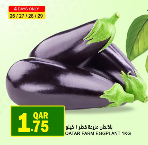 Eggplant from Qatar available at قصر الأغذية هايبرماركت in قطر - الوكرة