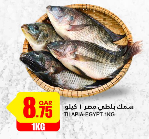 available at قصر الأغذية هايبرماركت in قطر - الوكرة