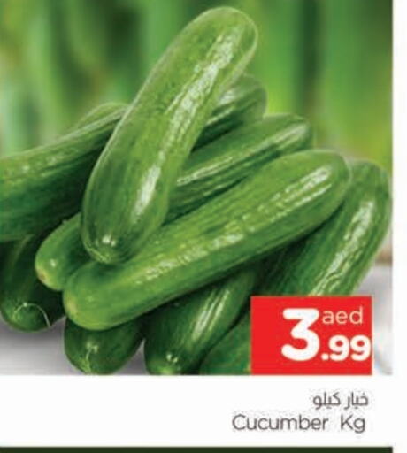 خيار available at المدينة in الإمارات العربية المتحدة , الامارات - الشارقة / عجمان