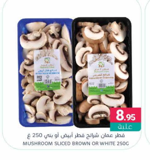 Mushroom available at اسواق المنتزه in مملكة العربية السعودية, السعودية, سعودية - سيهات