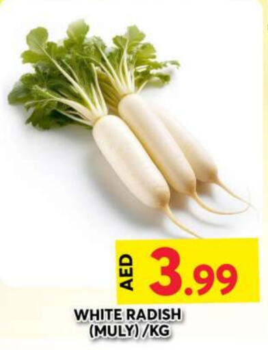 Radish available at Grand Hyper Market in UAE - Dubai