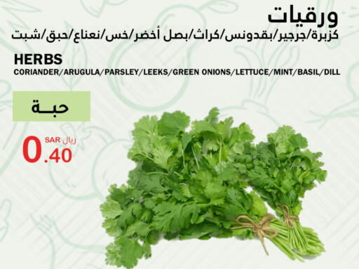 بصل available at الهاجري الأغذية in مملكة العربية السعودية, السعودية, سعودية - خميس مشيط