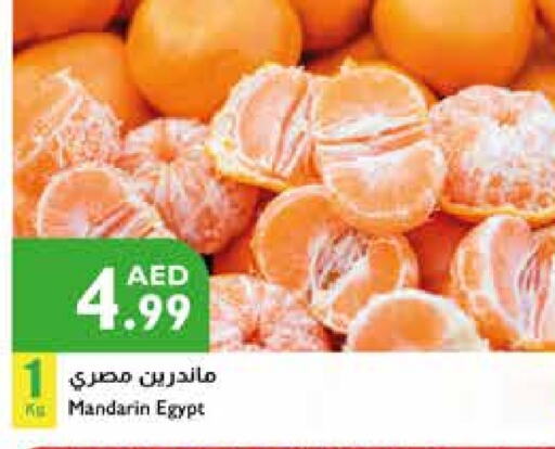 برتقال from Egypt available at إسطنبول سوبرماركت in الإمارات العربية المتحدة , الامارات - ٱلْعَيْن‎