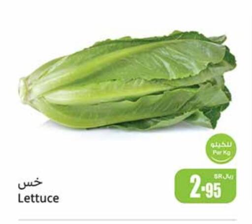 Lettuce available at Othaim Markets in KSA, Saudi Arabia, Saudi - Ar Rass