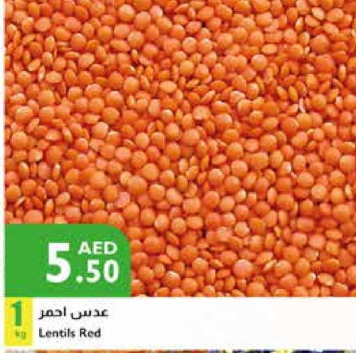 available at إسطنبول سوبرماركت in الإمارات العربية المتحدة , الامارات - دبي