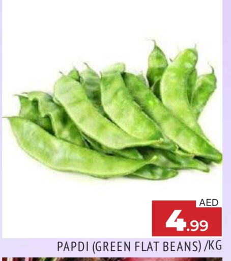 فاصوليا available at المدينة in الإمارات العربية المتحدة , الامارات - الشارقة / عجمان