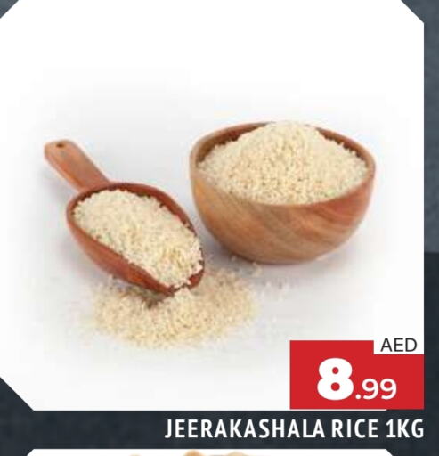 أرز جيراكاسالا available at المدينة in الإمارات العربية المتحدة , الامارات - الشارقة / عجمان