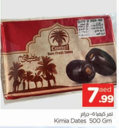 available at المدينة in الإمارات العربية المتحدة , الامارات - الشارقة / عجمان