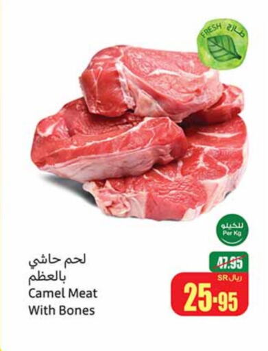 Camel meat available at Othaim Markets in KSA, Saudi Arabia, Saudi - Medina