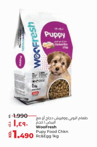 available at Lulu Hypermarket  in Kuwait - Kuwait City