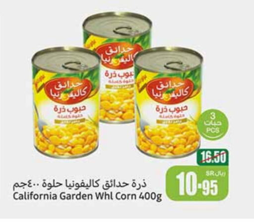 available at Othaim Markets in KSA, Saudi Arabia, Saudi - Al Bahah