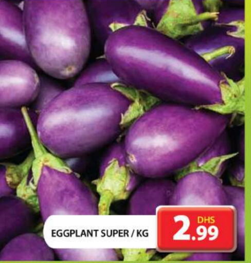 Eggplant available at جراند هايبر ماركت in الإمارات العربية المتحدة , الامارات - دبي