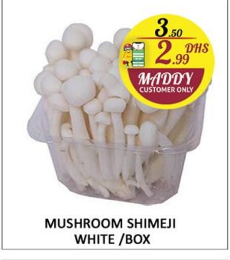 Mushroom available at Al Madina  in UAE - Sharjah / Ajman