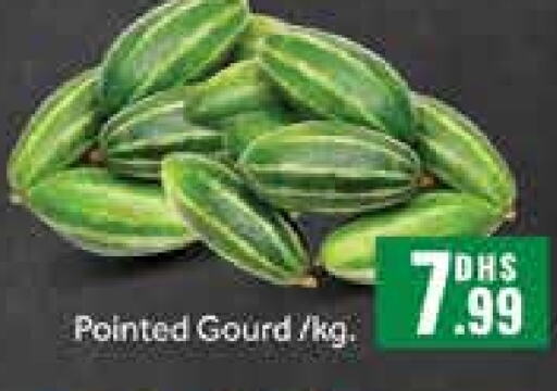 Gourd available at Mango Hypermarket LLC in UAE - Dubai