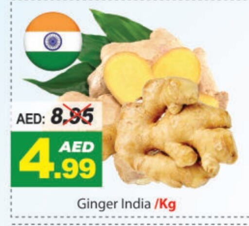 زنجبيل from India available at ديزرت فريش ماركت in الإمارات العربية المتحدة , الامارات - أبو ظبي