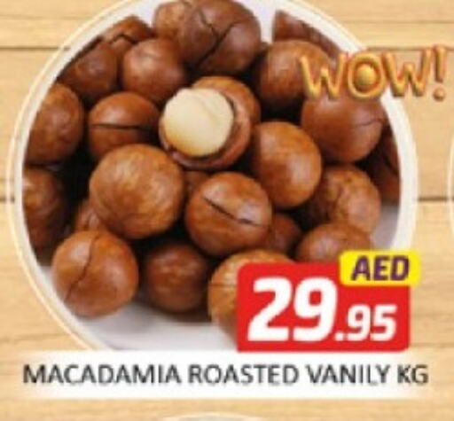 available at المدينة in الإمارات العربية المتحدة , الامارات - دبي