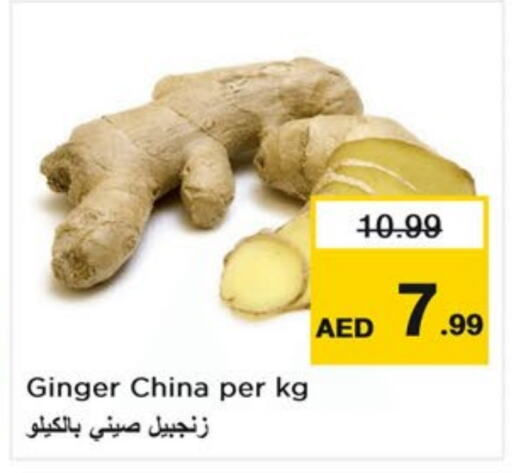 Ginger from China available at Last Chance  in UAE - Fujairah