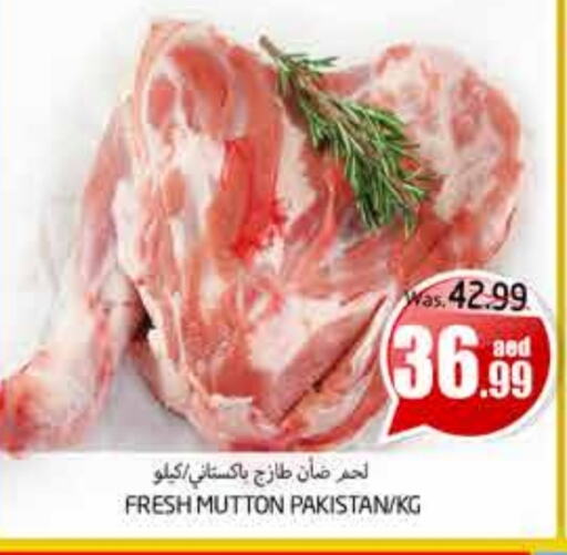 Mutton / Lamb available at PASONS GROUP in UAE - Al Ain