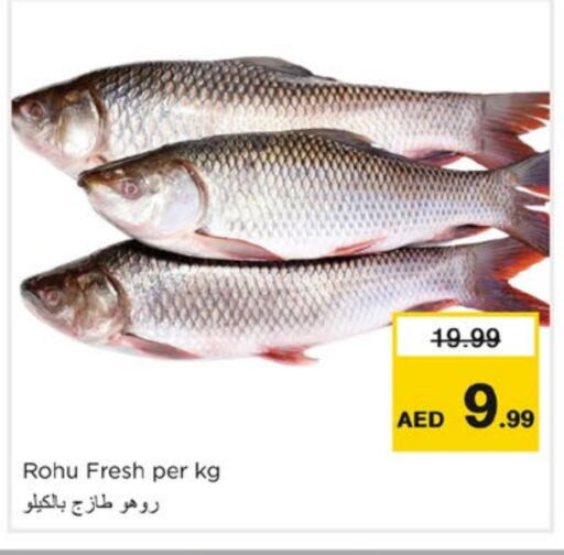 available at Nesto Hypermarket in UAE - Fujairah