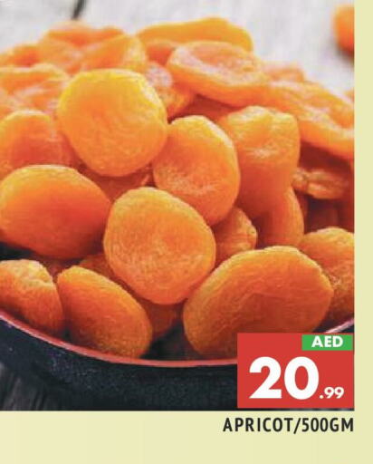 Apricot available at المدينة in الإمارات العربية المتحدة , الامارات - الشارقة / عجمان