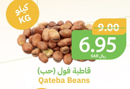 available at أسواق قاطبة in مملكة العربية السعودية, السعودية, سعودية - بريدة