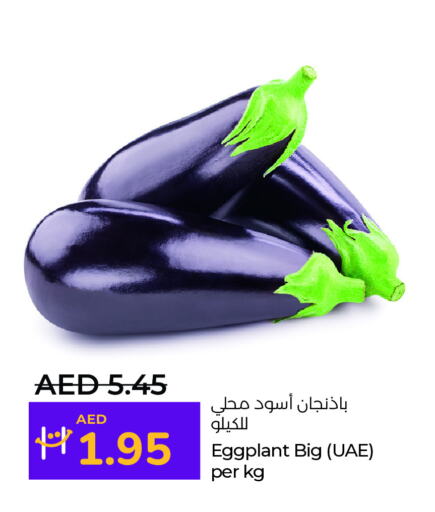 Eggplant available at Lulu Hypermarket in UAE - Al Ain