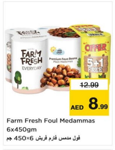 Fava Beans available at Last Chance  in UAE - Fujairah